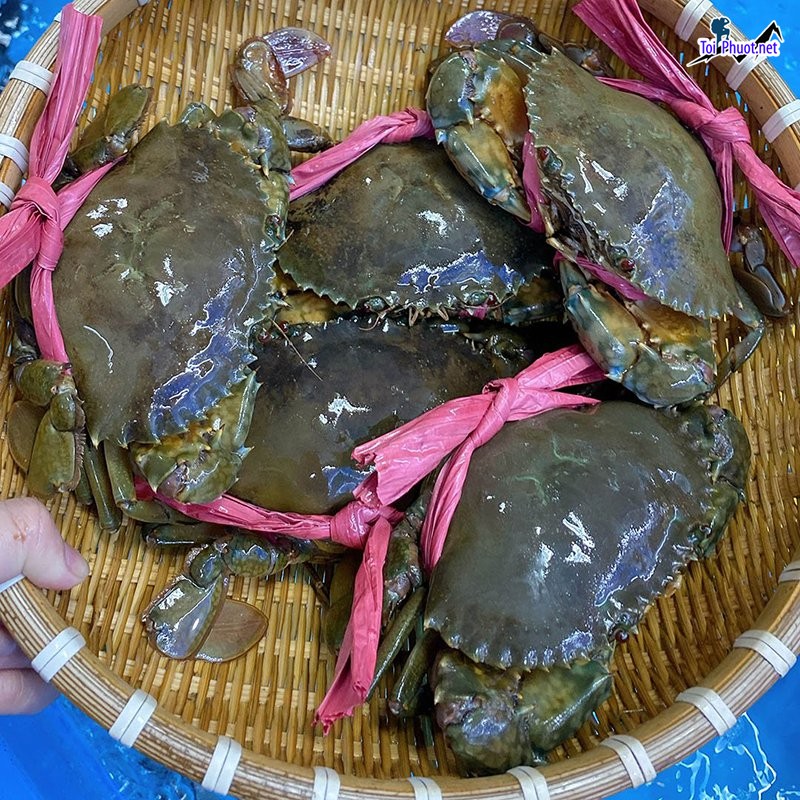 Thịt cua tươi ngon Cung cấp mua bán Cua tươi giá rẻ tốt sỉ bao cua không ốp
