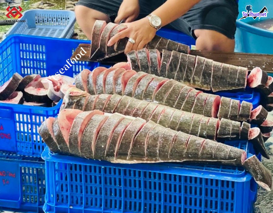 Thực phẩm Cung cấp cá bớp Tuyên Quang hải sản tươi sống giá sỉ tốt rẻ (1)