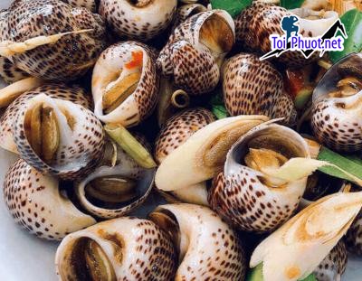 Thực phẩm hải sản tươi sống cung cấp hải sản Nha Trang Khánh Hòa sỉ giá rẻ tốt