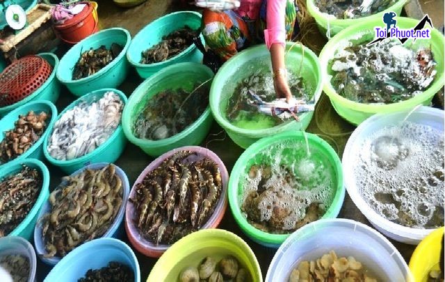 Tổng hợp các loại hải sản cung cấp hải sản Lai Châu sỉ giá rẻ tốt đa dạng ngon thịt (1)