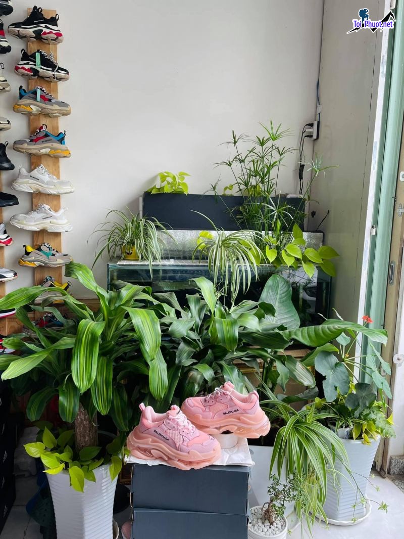 Top 10 Shop bán giày thể thao đẹp nhất tỉnh Lâm Đồng chất lượng giá cũng tốt nhất trên thị trường (6)