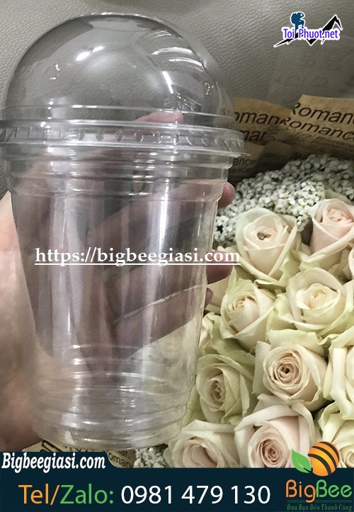Top công ty sản xuất ly nhựa uy tín và chất lượng nhất ở Kon Tum đa dạng (2)