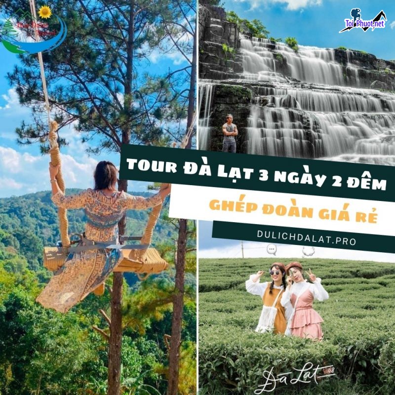 Top 10 Công ty du lịch tại Lâm Đồng uy tín nhất trọn gói nhiều ưu đãi (1)