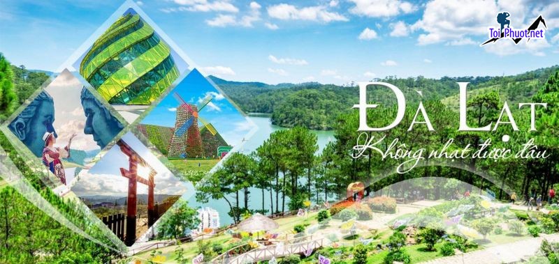 Top 10 Công ty du lịch tại Lâm Đồng uy tín nhất trọn gói nhiều ưu đãi (3)