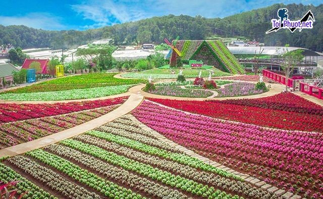 Top 10 Công ty du lịch tại Lâm Đồng uy tín nhất trọn gói nhiều ưu đãi (4)