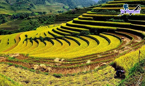 Top 10 Danh lam thắng cảnh đẹp nhất tại Lai Châu điểm đến hấp dẫn (1)
