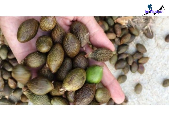 Top 10 Địa chỉ bán đặc sản làm quà uy tín nhất Đồng Nai làm quà biếu (7)