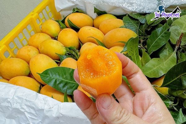 Top 10 Địa chỉ bán đặc sản làm quà uy tín nhất Vĩnh Long độc đáo mới lạ (3)