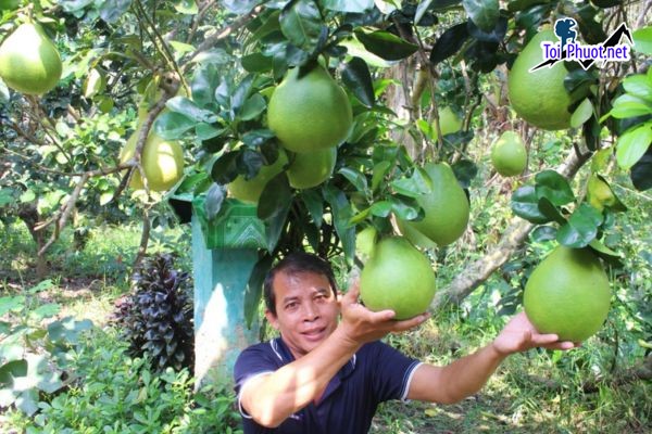 Top 10 Địa chỉ bán đặc sản làm quà uy tín nhất Vĩnh Long độc đáo mới lạ (4)