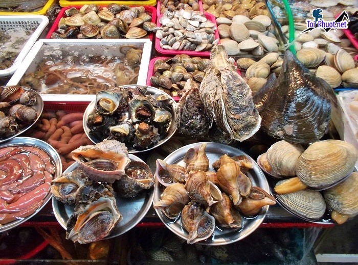 Top 10 Địa chỉ bán hải sản tươi sống chất lượng nhất Thanh Hóa thoải mái chọn lựa (4)
