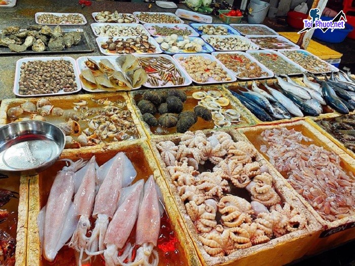 Top 10 Địa chỉ bán hải sản tươi sống chất lượng nhất Thanh Hóa thoải mái chọn lựa (5)