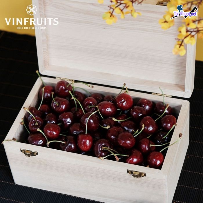 Top 10 Địa chỉ bán trái cây nhập khẩu chất lượng Hồ Chí Minh đa dạng loại quả (1)