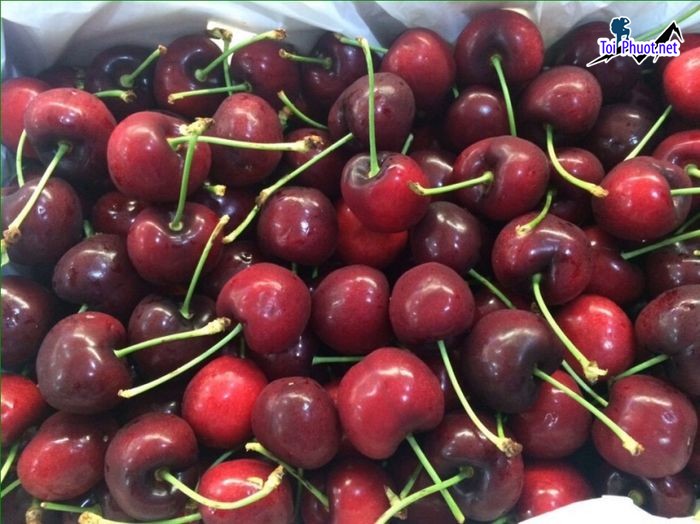 Top 10 Địa chỉ bán trái cây nhập khẩu chất lượng Hồ Chí Minh đa dạng loại quả (3)
