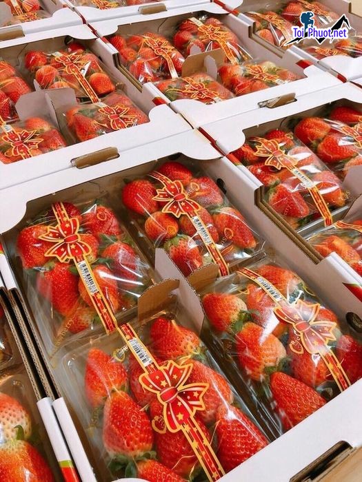 Top 10 Địa chỉ bán trái cây nhập khẩu chất lượng Hồ Chí Minh đa dạng loại quả (5)