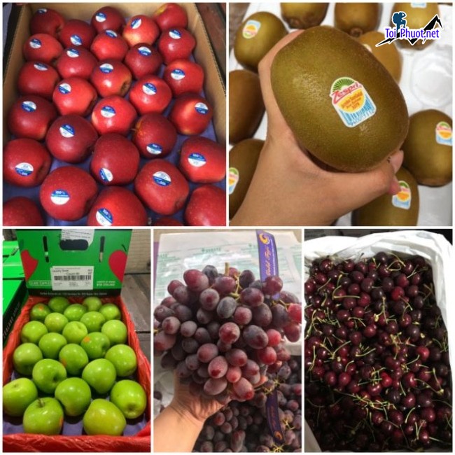 Top 10 Địa chỉ bán trái cây nhập khẩu chất lượng Tuyên Quang chất lượng thương hiệu (2)