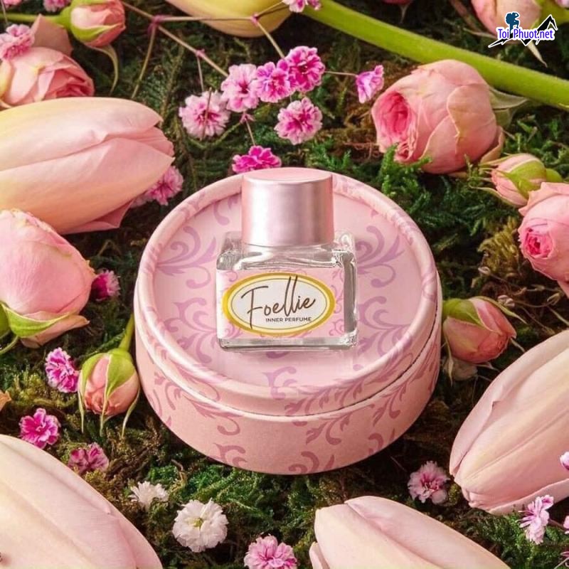 Top 10 Địa chỉ mua nước hoa uy tín nhất tại Hải Phòng thỏa sức chọn lựa (4)