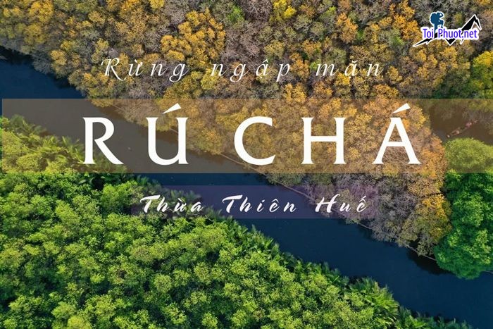 Top 10 Địa điểm đi chơi cuối tuần tại Thừa Thiên – Huế cực chill (2)