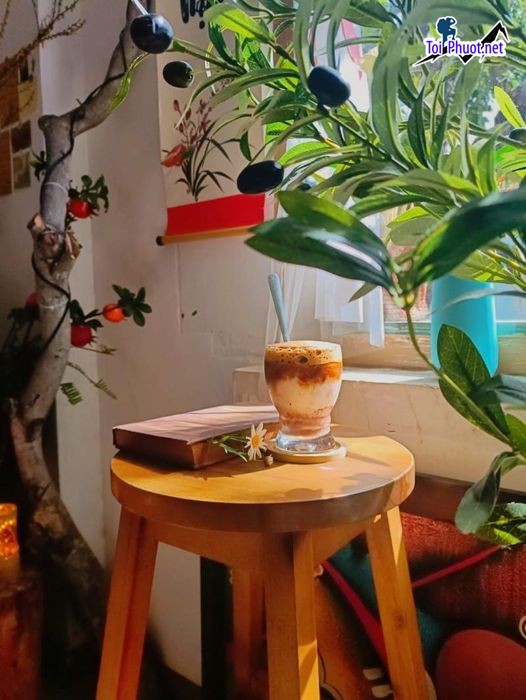 Top 10 Quán cà phê yên tĩnh, thích hợp tự học Khánh Hòa thư giãn (3)