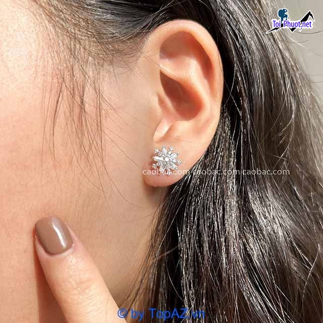 Top 10 Shop phụ kiện được phái đẹp yêu thích nhất tại Hưng Yên khuyên tai lấp lánh (3)