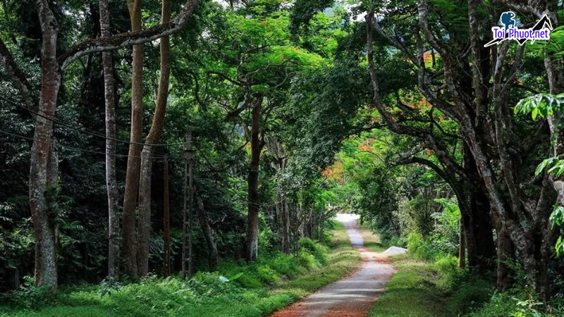 Top 11 Danh lam thắng cảnh đẹp nhất tại Hà Nội ghi đậm dấu ấn văn hóa lịch sử (1)