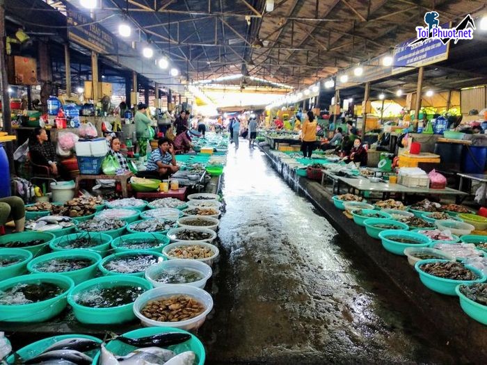 Top 11 Địa chỉ bán hải sản tươi sống chất lượng nhất Hồ Chí Minh tươi khỏe mạnh (5)