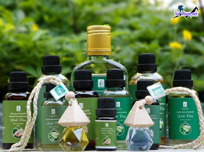 Top 11 Địa chỉ mua tinh dầu tốt nhất Lai Châu đủ các loại hương thơm (4)