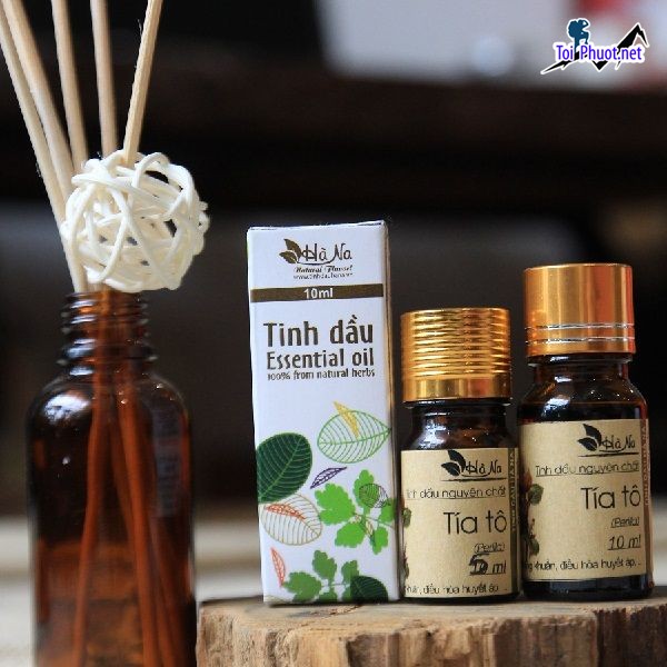 Top 11 Địa chỉ mua tinh dầu tốt nhất Sơn La mùi thơm ngọt ngào (3)