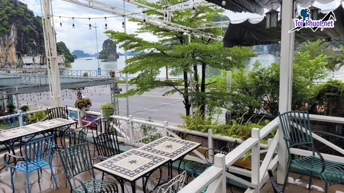 Top 11 Quán cafe đẹp nhất Quảng Ninh Giá cả phải chăng, phù hợp với mọi người (6)