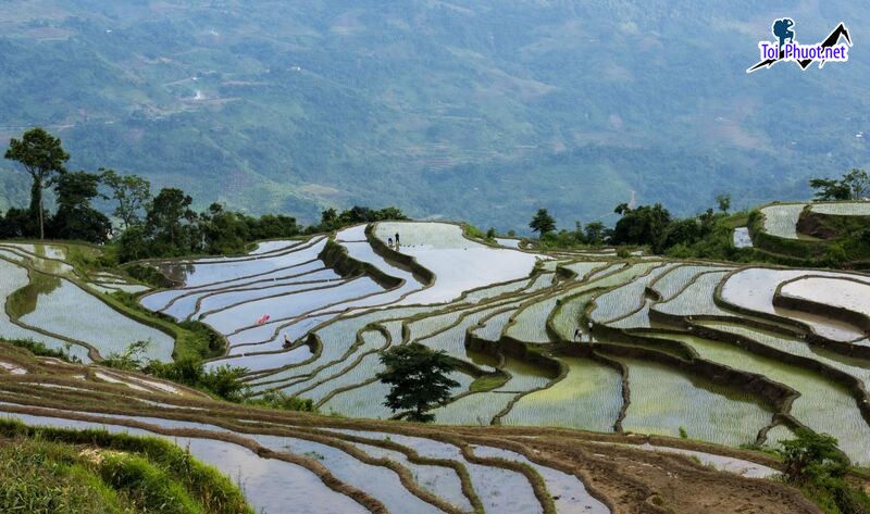 Top 12 Danh lam thắng cảnh đẹp nhất tại Tuyên Quang đẹp như tranh vẽ (7)