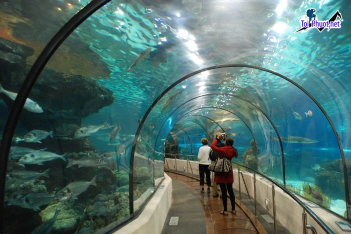 Top 12 Địa điểm đi chơi cuối tuần tại Hà Nội cực thú vị (5)