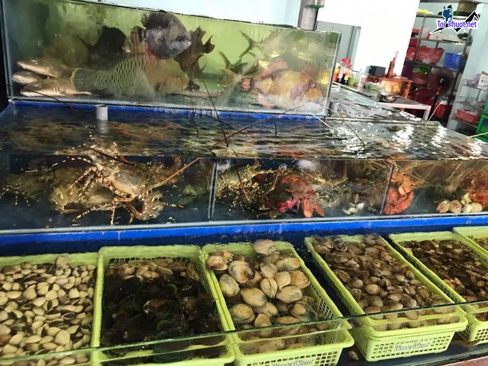Top 3 Địa chỉ bán hải sản tươi sống chất lượng nhất Khánh Hòa giá cực hời (2)