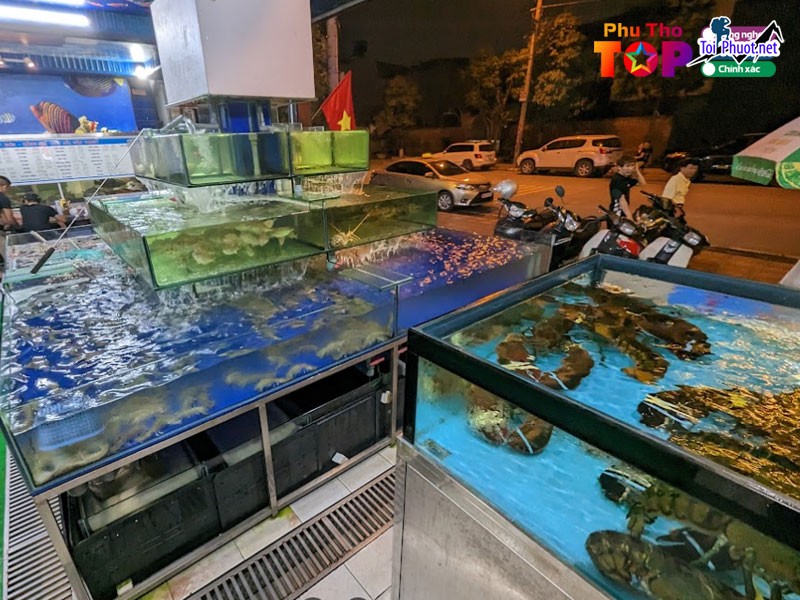 Top 3 Địa chỉ bán hải sản tươi sống chất lượng nhất Phú Thọ tươi ngon nhất (2)