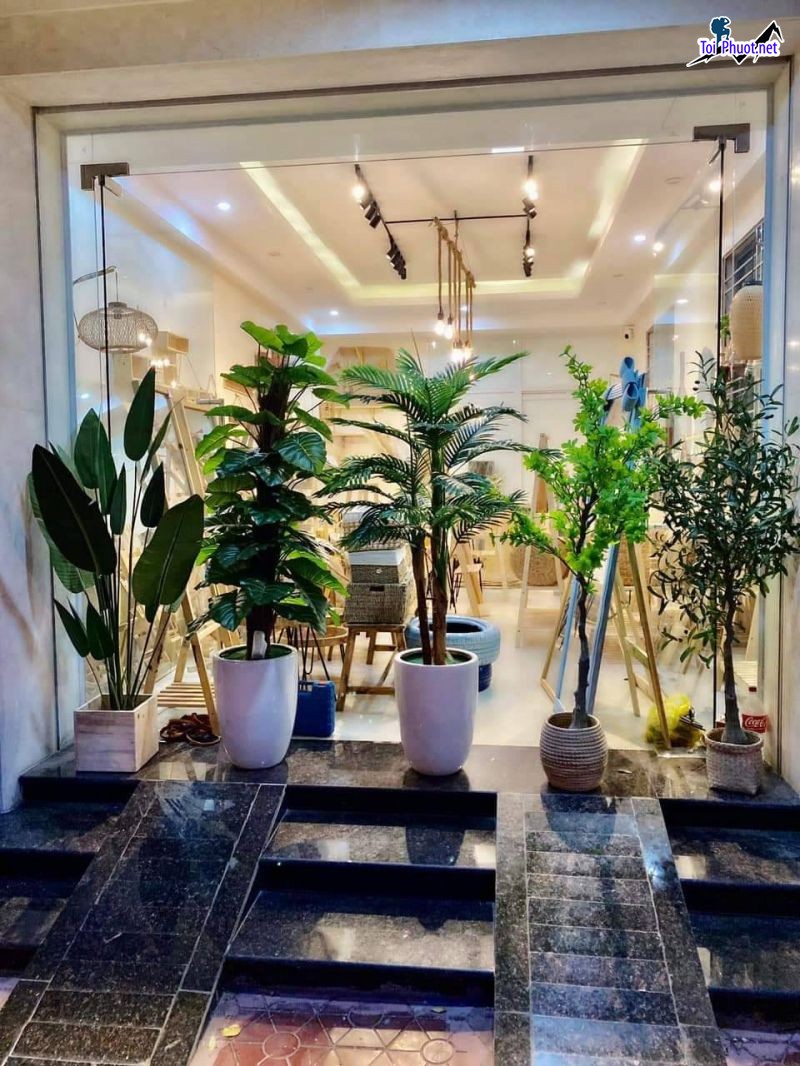 Top 3 Địa chỉ bán hoa giả đẹp nhất Ninh Bình đa dạng các giống hoa đẹp (3)