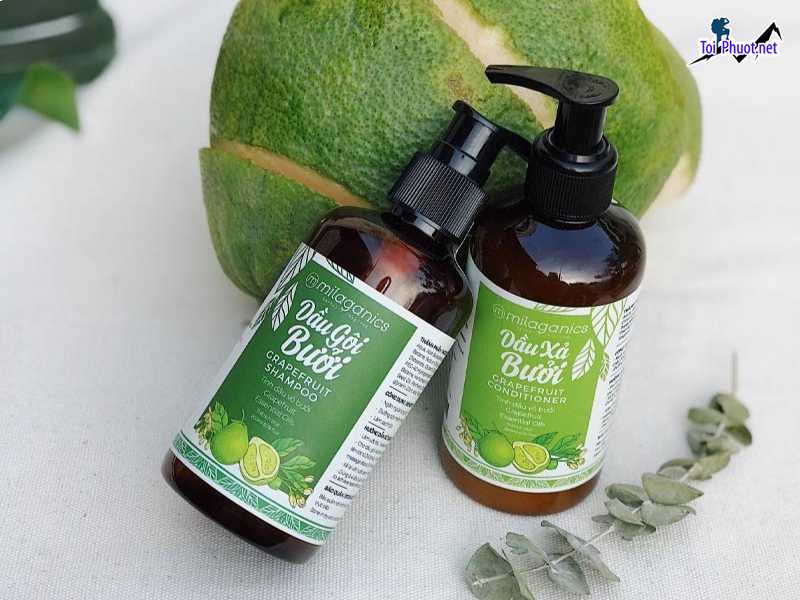 Top 3 Địa chỉ mua tinh dầu tốt nhất Cần Thơ nguyên chất (1)