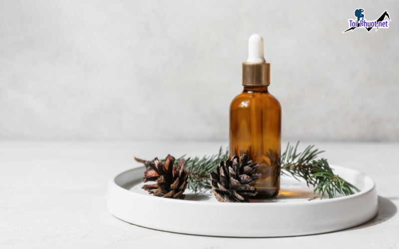 Top 3 Địa chỉ mua tinh dầu tốt nhất Đồng Tháp và nhiều lợi ích mang lại (1)