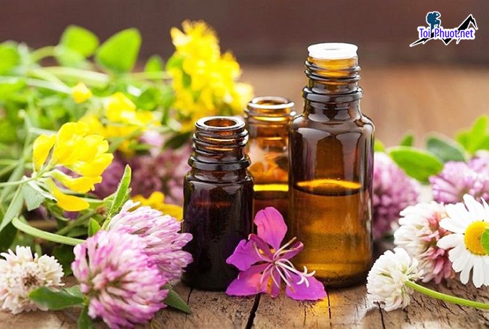 Top 3 Địa chỉ mua tinh dầu tốt nhất Đồng Tháp và nhiều lợi ích mang lại (3)