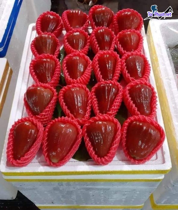 Top 4 Địa chỉ bán trái cây nhập khẩu chất lượng Lạng Sơn chất lượng lên hàng đầu (3)