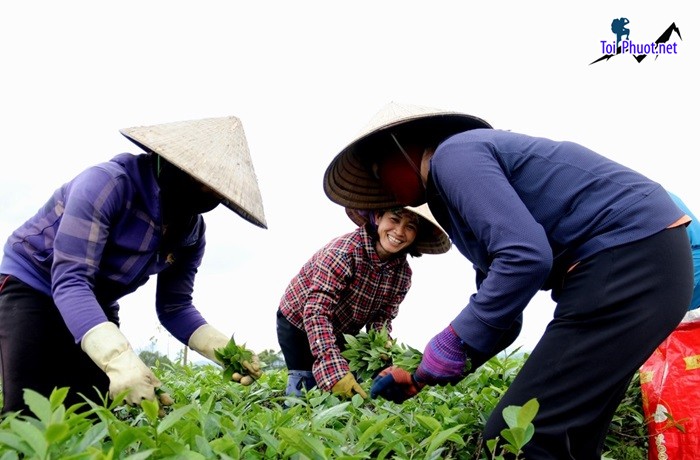 Top 5 Danh lam thắng cảnh đẹp nhất tại Hà Tĩnh gây thương nhớ biết bao du khách (1)