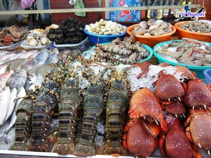Top 5 Địa chỉ bán hải sản tươi sống chất lượng nhất Đà Nẵng rẻ như cho (1)