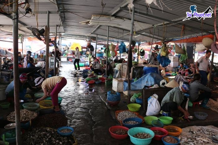 Top 5 Địa chỉ bán hải sản tươi sống chất lượng nhất Đà Nẵng rẻ như cho (2)