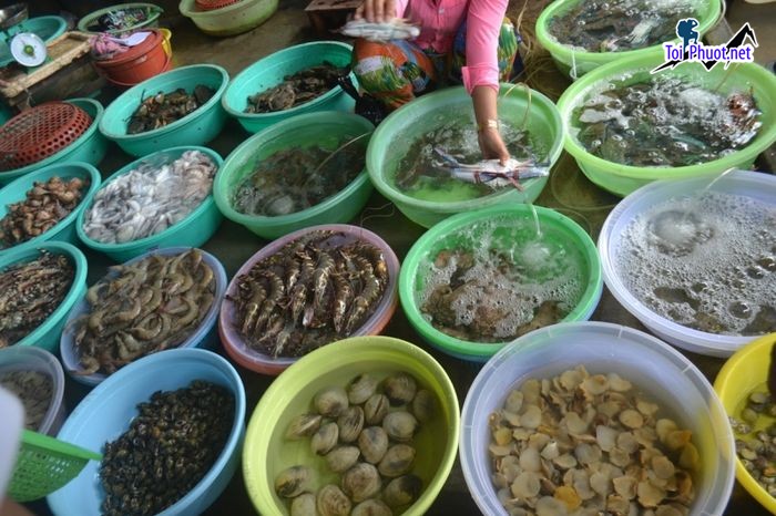 Top 5 Địa chỉ bán hải sản tươi sống chất lượng nhất Đồng Tháp có tiếng tại đây (1)