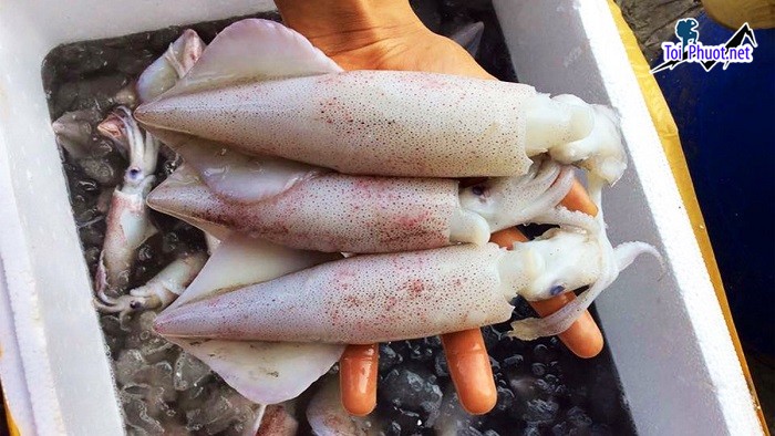 Top 5 Địa chỉ bán hải sản tươi sống chất lượng nhất Tây Ninh nổi tiếng tại đây (4)
