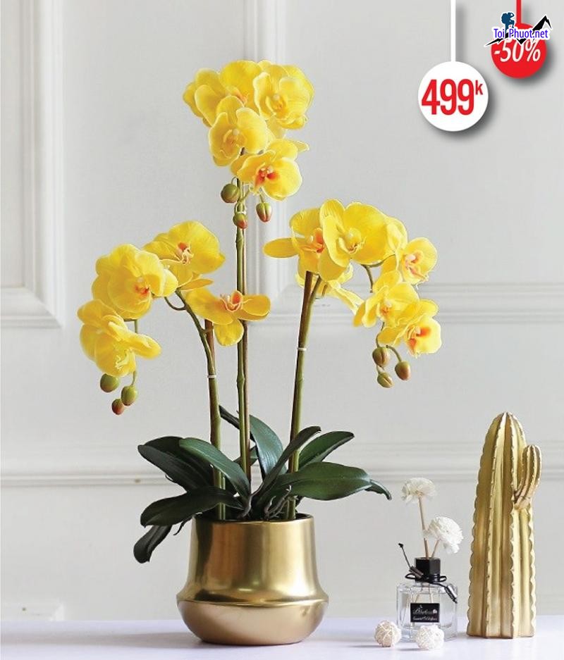 Top 5 Địa chỉ bán hoa giả đẹp nhất Thanh Hóa giá cả phù hợp nhất (2)