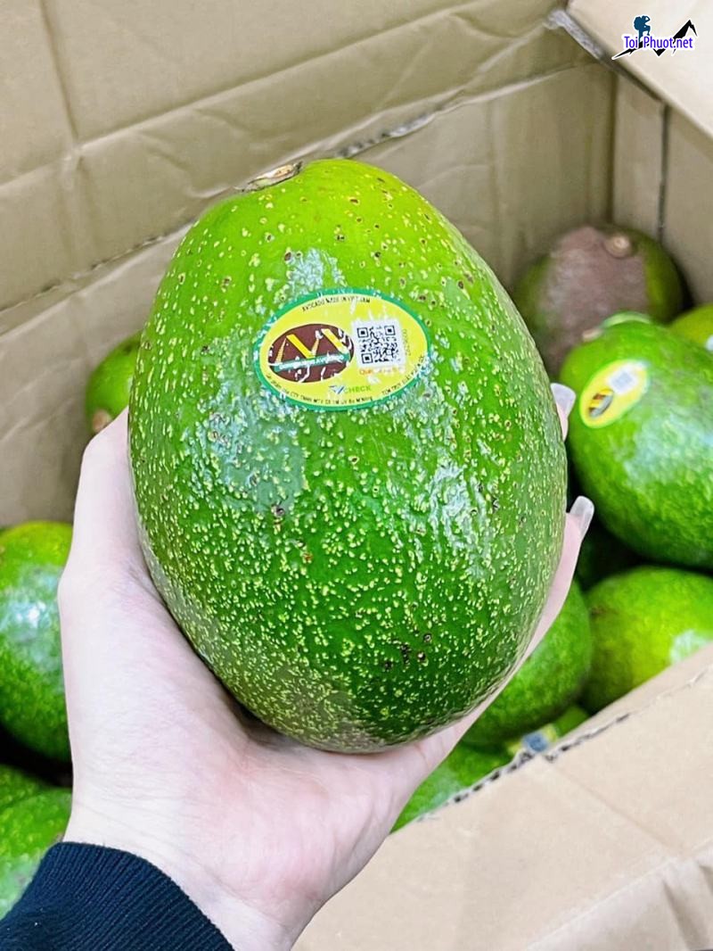 Top 5 Địa chỉ bán trái cây nhập khẩu chất lượng Bắc Ninh giá trị dinh dưỡng cao (3)