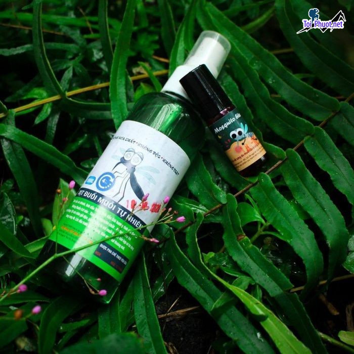 Top 5 Địa chỉ mua tinh dầu tốt nhất An Giang khử mùi cực hiệu quả  (3)