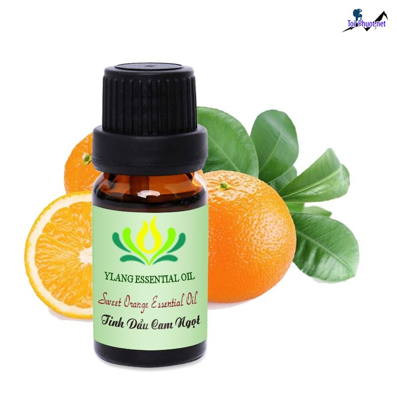 Top 5 Địa chỉ mua tinh dầu tốt nhất Khánh Hòa và có nhiều công dụng (3)