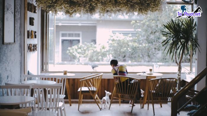 Top 5 Quán cà phê yên tĩnh, thích hợp tự học Quảng Trị nhiêu ấn tượng (3)