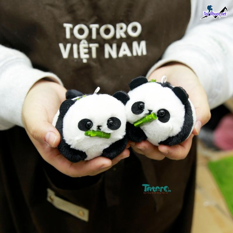 Top 5 Shop quà lưu niệm độc đáo nhất Top Quảng Ngãi quà lưu niệm độc đáo nhất (1)