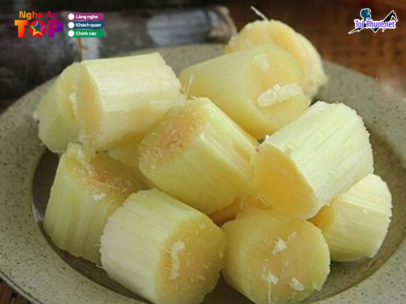 Top 6 Địa chỉ bán đặc sản làm quà uy tín nhất Nghệ An chắc chắn không nên bỏ qua (1)