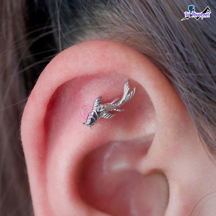 Top 6 Địa chỉ xỏ khuyên chuyên nghiệp nhất Lạng Sơn khá tin tưởng (2)